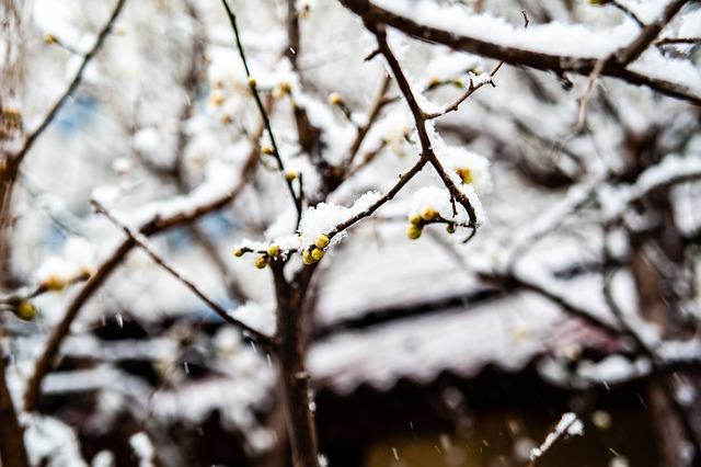 仅需要清晰