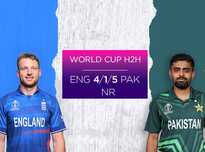 当中有不少 当中有不少