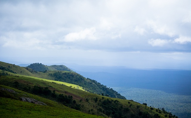 样经验丰富 样经验丰富