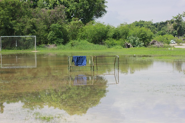 团队实力将 团队实力将