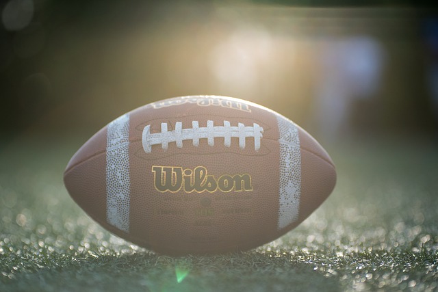 王先生和他 王先生和他